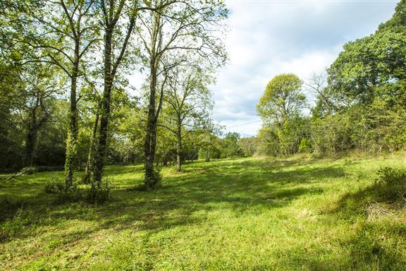 4239 Fairview Road Columbia, TN 38401 - Photo 1 of 5 a view of outdoor space with trees all around