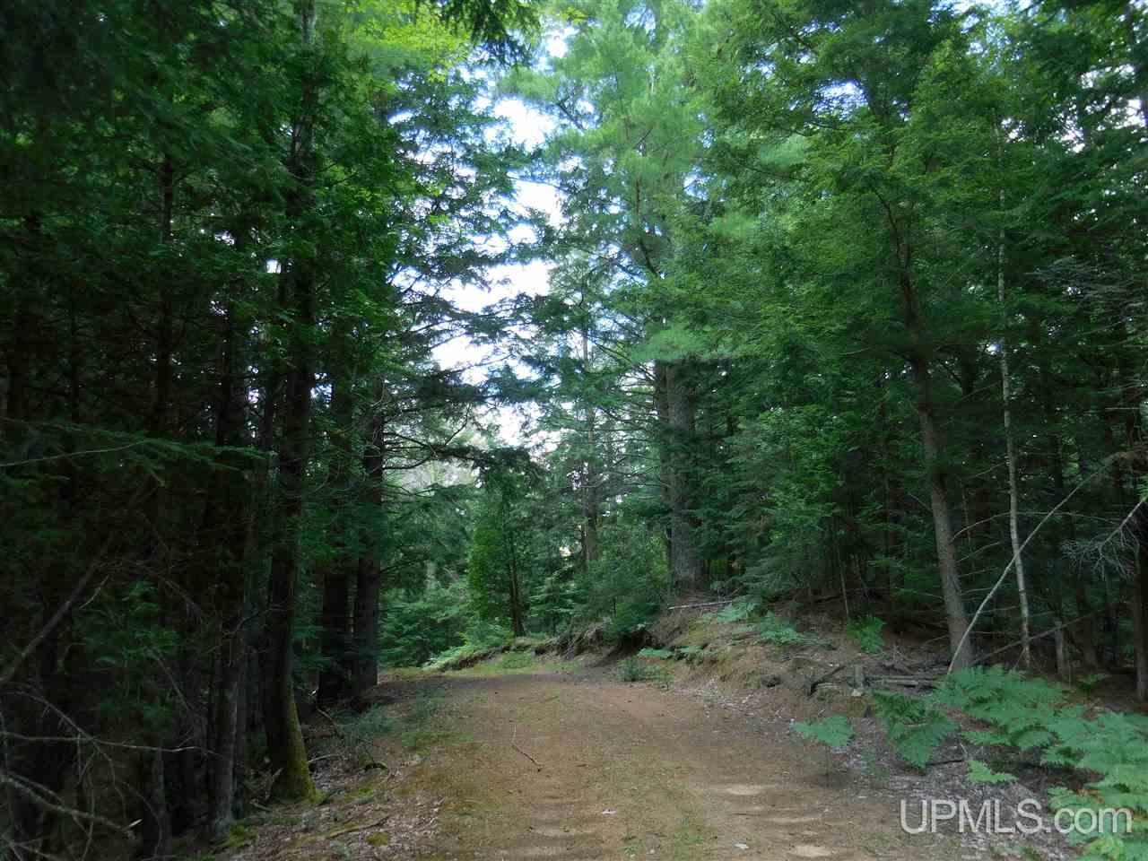Tbd 60 Acres Off Carlson Road Manistique, MI 49854 - Photo 4 of 8