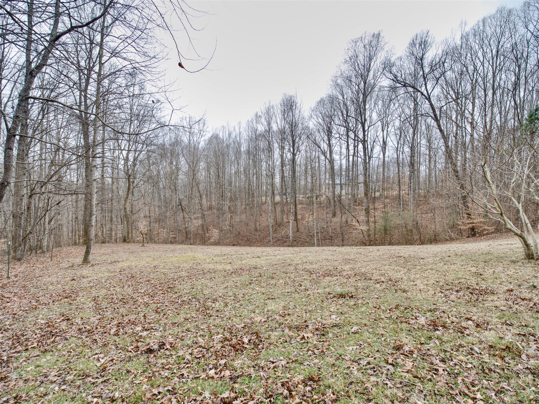 7150 Carter Road Fairview, TN 37062 - Photo 23 of 23 Gallery Image 23