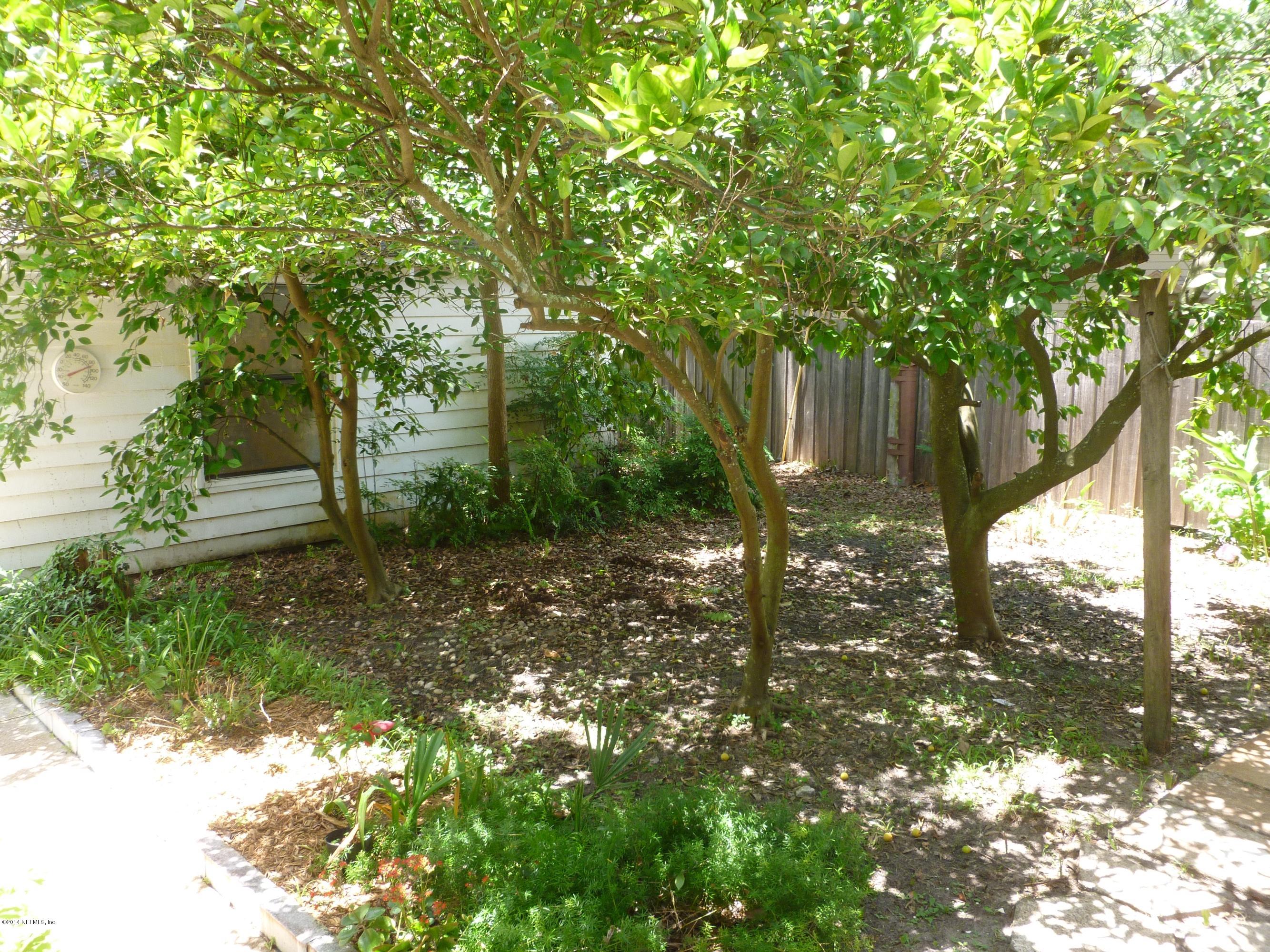 844 South Shores Road Jacksonville, FL 32207 - Photo 23 of 27 Backyard