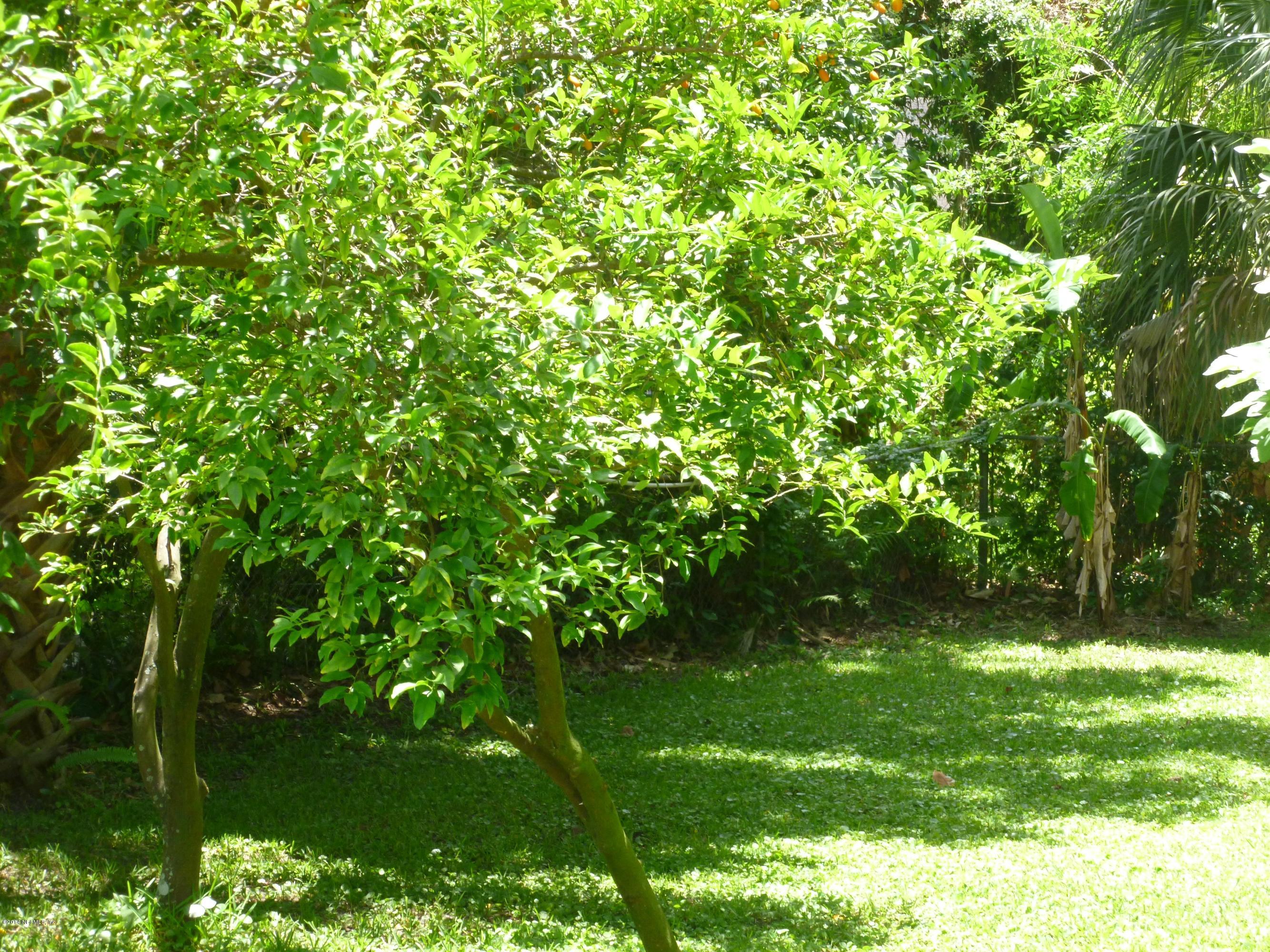 844 South Shores Road Jacksonville, FL 32207 - Photo 24 of 27 Backyard II