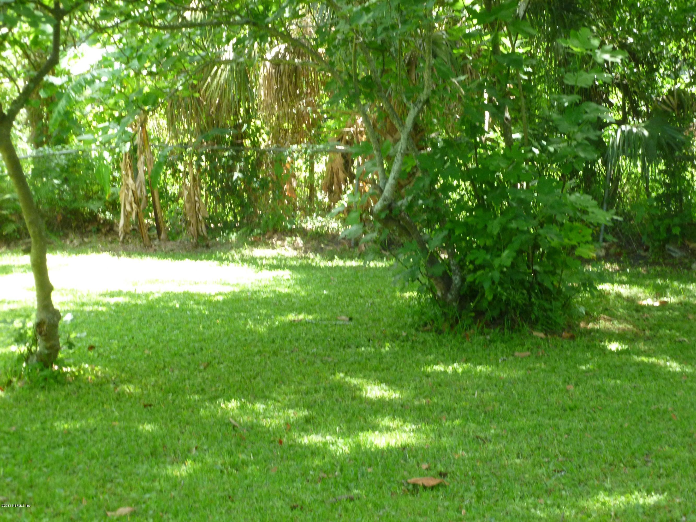 844 South Shores Road Jacksonville, FL 32207 - Photo 25 of 27 Backyard III