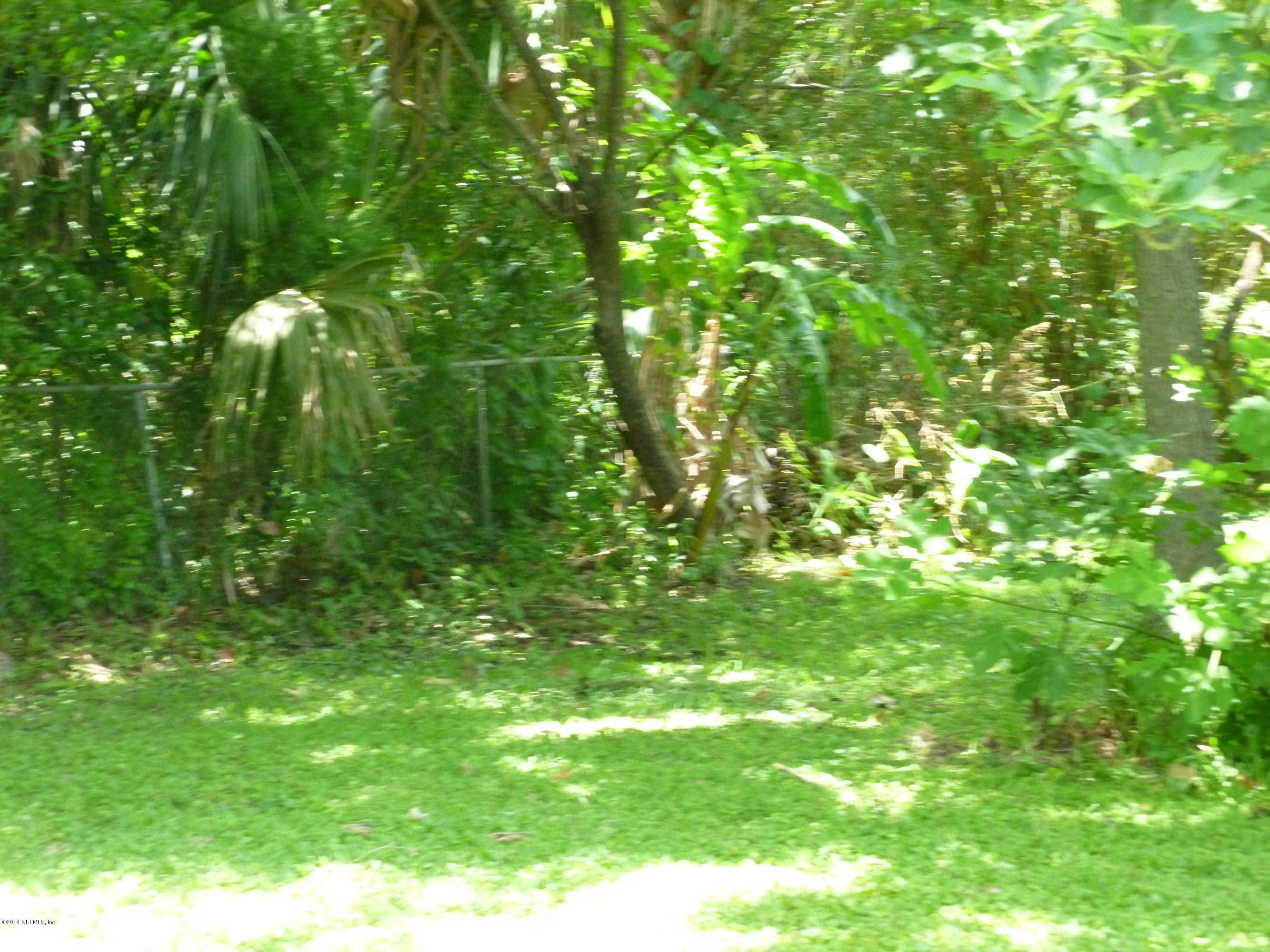 844 South Shores Road Jacksonville, FL 32207 - Photo 26 of 27 Backyard IV