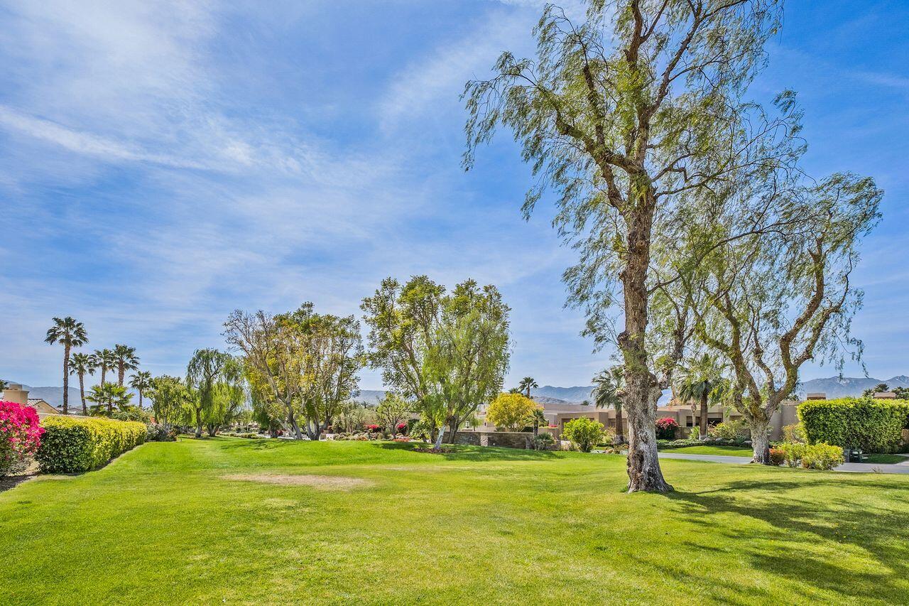 6 Pebble Beach Drive Rancho Mirage, CA 92270 - Photo 34 of 44 a garden with lots of trees in the background