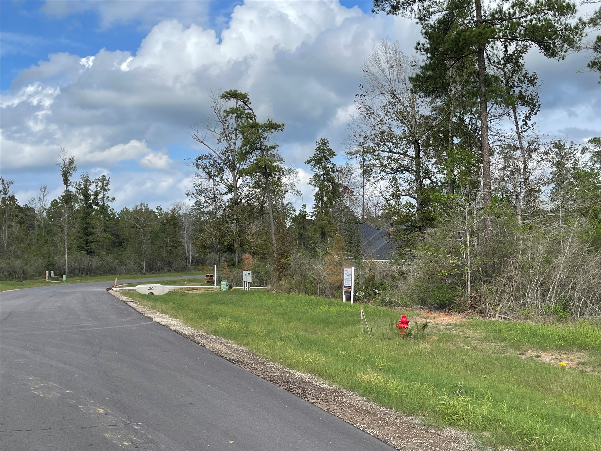 242 Iron Horse Road New Waverly, TX 77358 - Photo 10 of 15 a view of a park with large trees