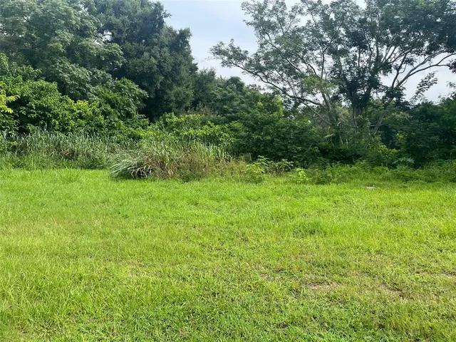 a view of a green yard