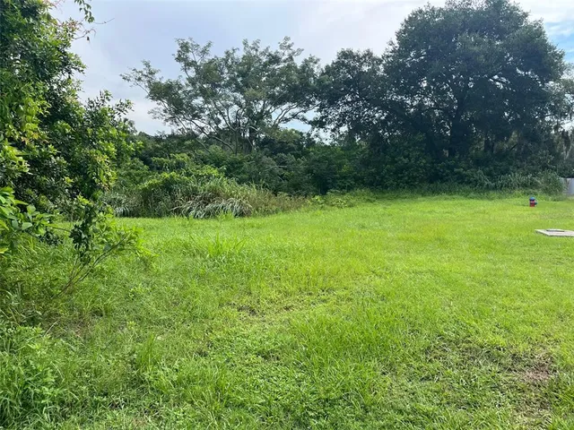 a view of outdoor space and yard