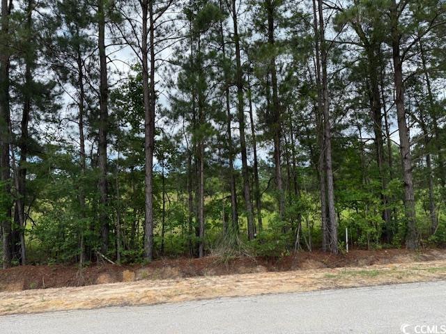 9.76-acs Rabon Road Aynor, SC 29511 - Photo 11 of 20