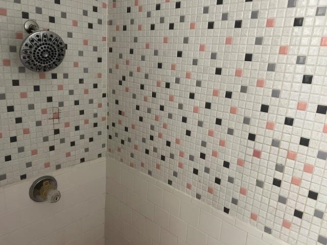 5183 Sea Shore Road Memphis, TN 38109 - Photo 13 of 17 Details featuring a tile shower