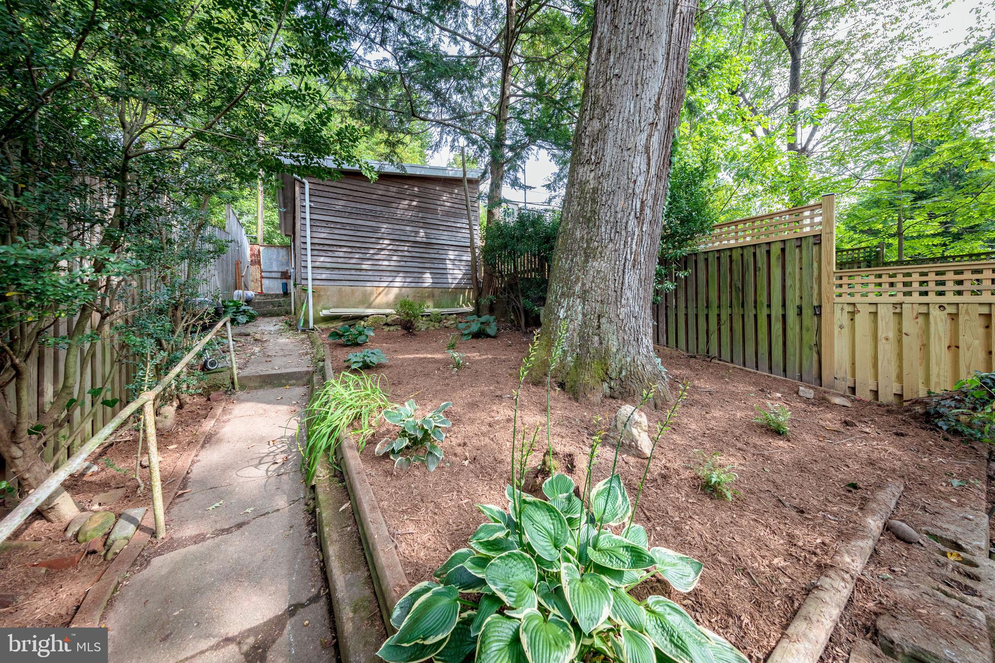2053 Park Road Northwest Washington, DC 20010 - Photo 28 of 38 Back Yard