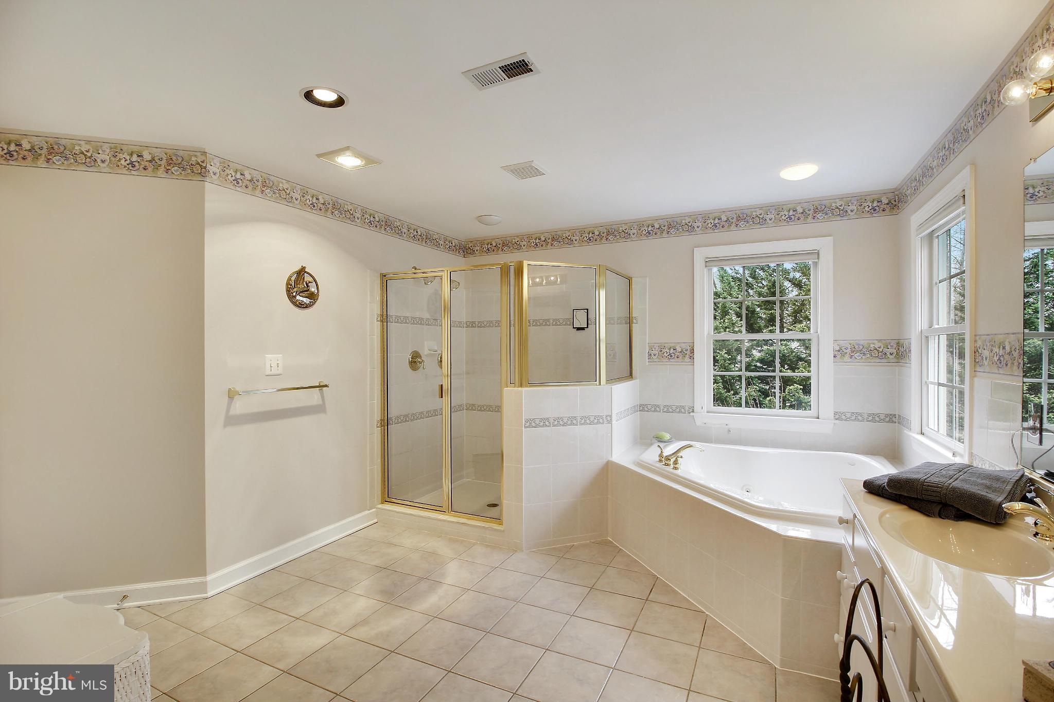 25119 Vista Ridge Road Laytonsville, MD 20882 - Photo 20 of 28 Bath (Master)