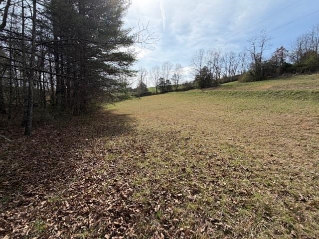 976 Walton Furnace Road, Unit 7A Max Meadows, VA 24360 - Photo 2 of 23 Gallery Image 2