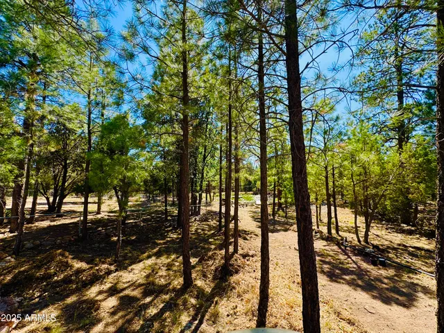 $1,149,900 | 2640 Spoonbill Drive, Happy Jack, AZ 86024