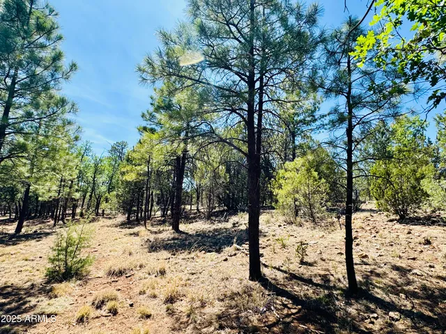 $1,149,900 | 2640 Spoonbill Drive, Happy Jack, AZ 86024