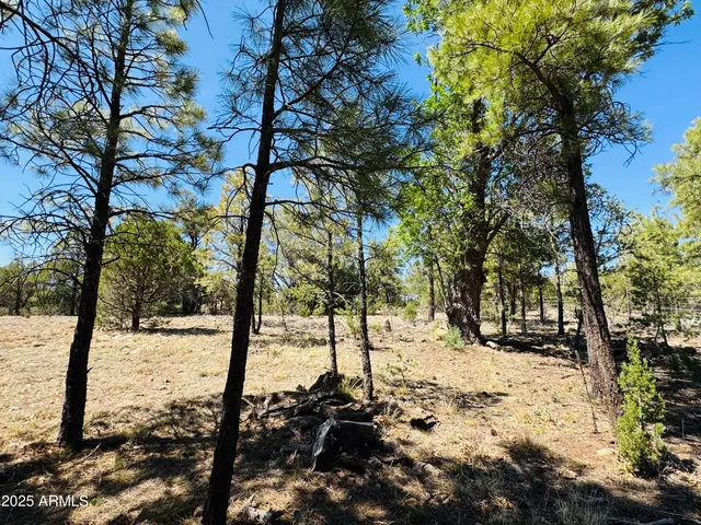 $1,149,900 | 2640 Spoonbill Drive, Happy Jack, AZ 86024