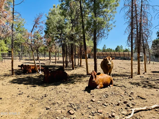 $1,149,900 | 2640 Spoonbill Drive, Happy Jack, AZ 86024