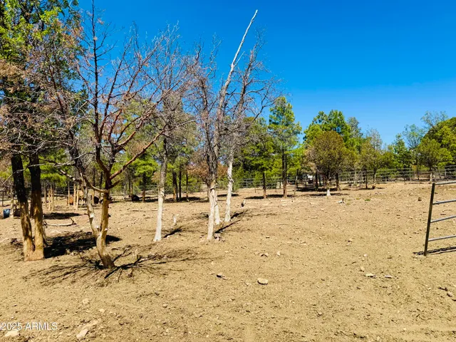 $1,149,900 | 2640 Spoonbill Drive, Happy Jack, AZ 86024