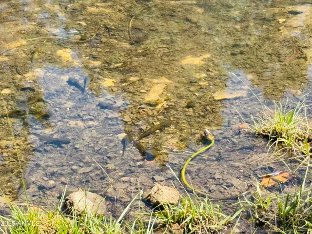 $1,149,900 | 2640 Spoonbill Drive, Happy Jack, AZ 86024