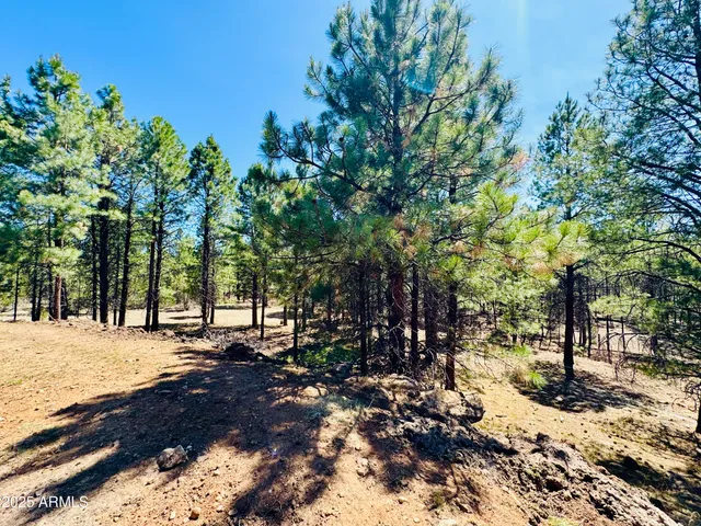 $1,149,900 | 2640 Spoonbill Drive, Happy Jack, AZ 86024