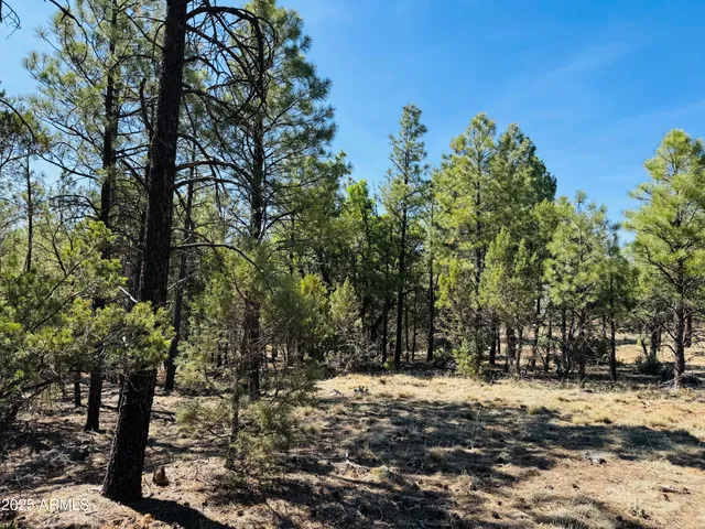 $1,149,900 | 2640 Spoonbill Drive, Happy Jack, AZ 86024