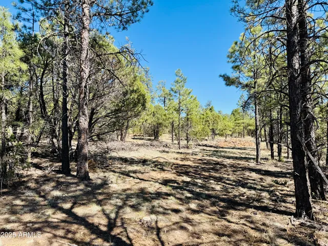 $1,149,900 | 2640 Spoonbill Drive, Happy Jack, AZ 86024