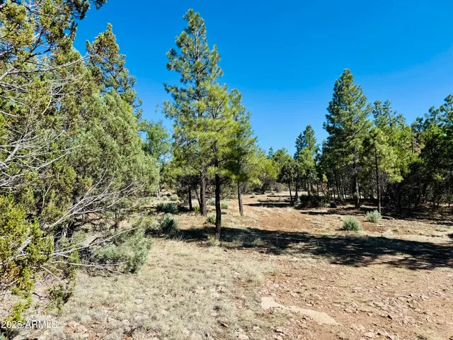 $1,149,900 | 2640 Spoonbill Drive, Happy Jack, AZ 86024