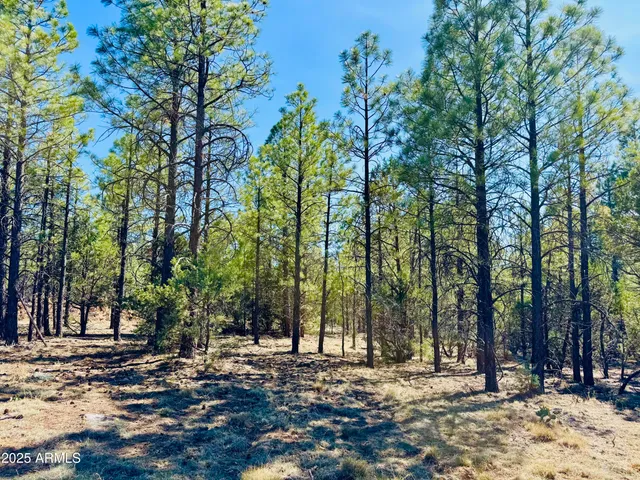 $1,149,900 | 2640 Spoonbill Drive, Happy Jack, AZ 86024