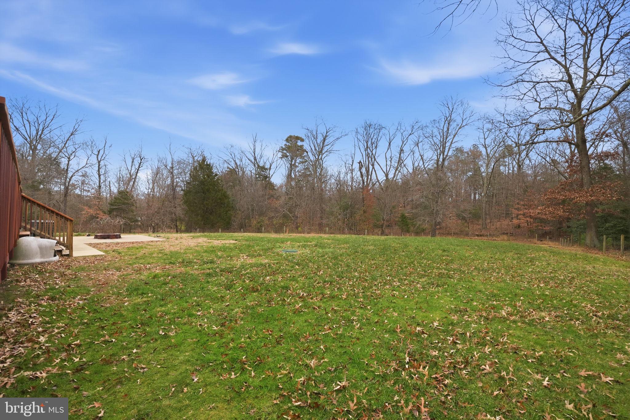 16402 Baden Naylor Road Brandywine, MD 20613 - Photo 34 of 37 a view of a yard