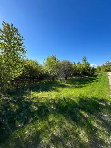 $46,000 | Lot 4-tbd Lot 4-tbd 330th Street, Warroad, MN 56763