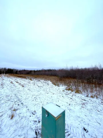 $46,000 | Lot 4-tbd Lot 4-tbd 330th Street, Warroad, MN 56763