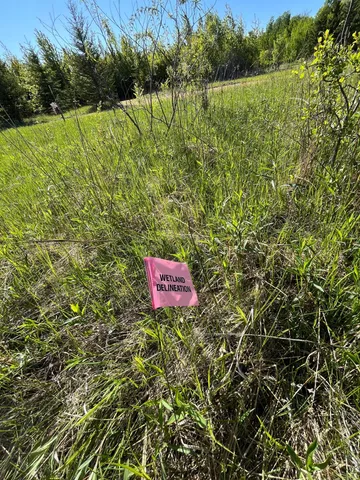 $46,000 | Lot 4-tbd Lot 4-tbd 330th Street, Warroad, MN 56763