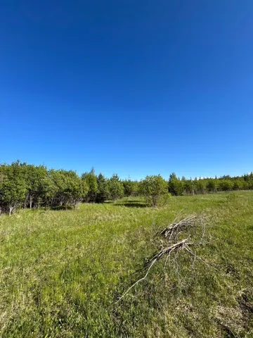 $46,000 | Lot 4-tbd Lot 4-tbd 330th Street, Warroad, MN 56763