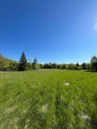 $46,000 | Lot 4-tbd Lot 4-tbd 330th Street, Warroad, MN 56763