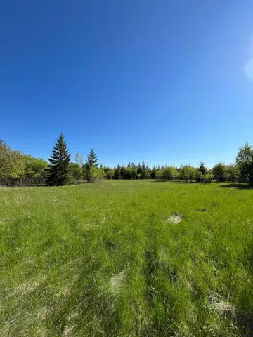 $46,000 | Lot 4-tbd Lot 4-tbd 330th Street, Warroad, MN 56763