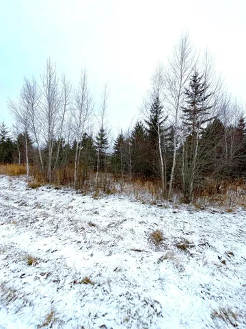 $46,000 | Lot 4-tbd Lot 4-tbd 330th Street, Warroad, MN 56763