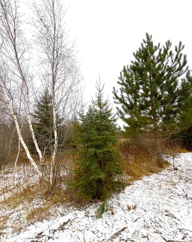 $46,000 | Lot 4-tbd Lot 4-tbd 330th Street, Warroad, MN 56763