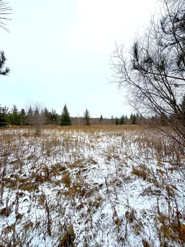 $46,000 | Lot 4-tbd Lot 4-tbd 330th Street, Warroad, MN 56763