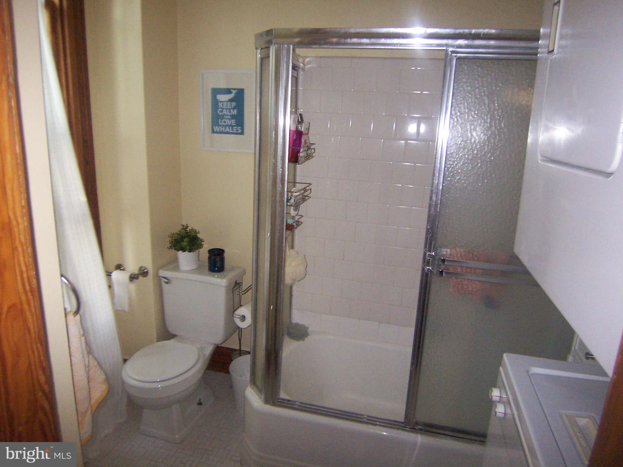 109 5th Street Southeast Washington, DC 20003 - Photo 12 of 23 Bath
