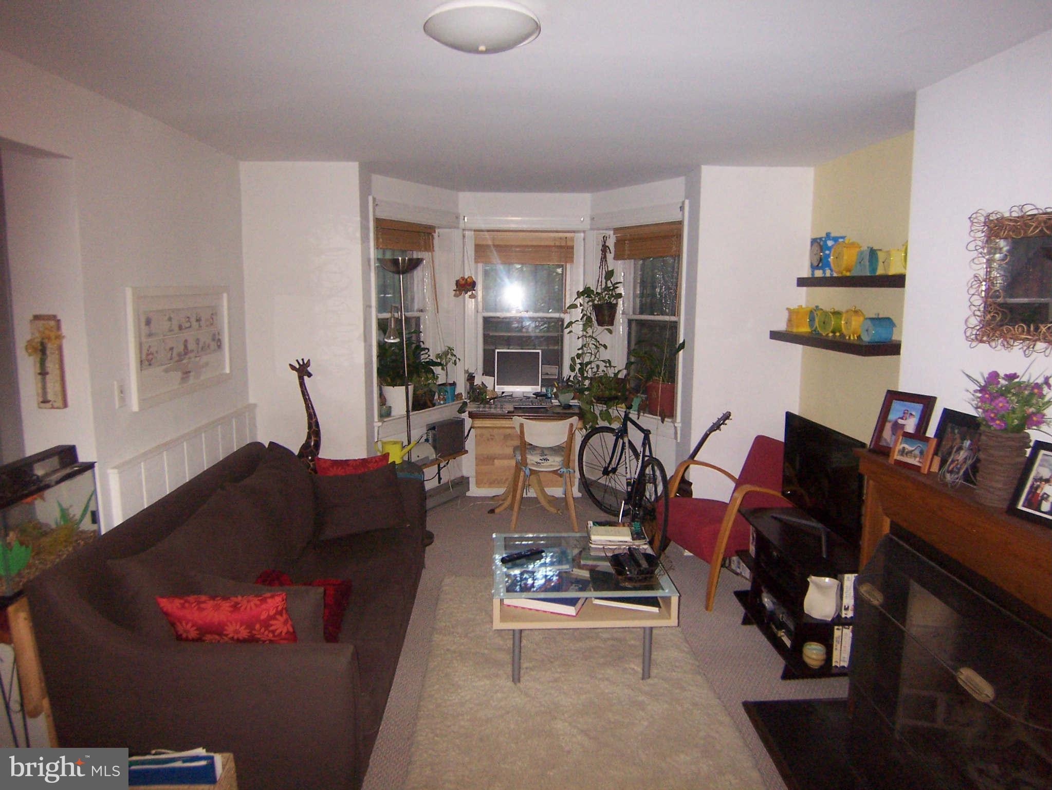 109 5th Street Southeast Washington, DC 20003 - Photo 17 of 23 Living Room