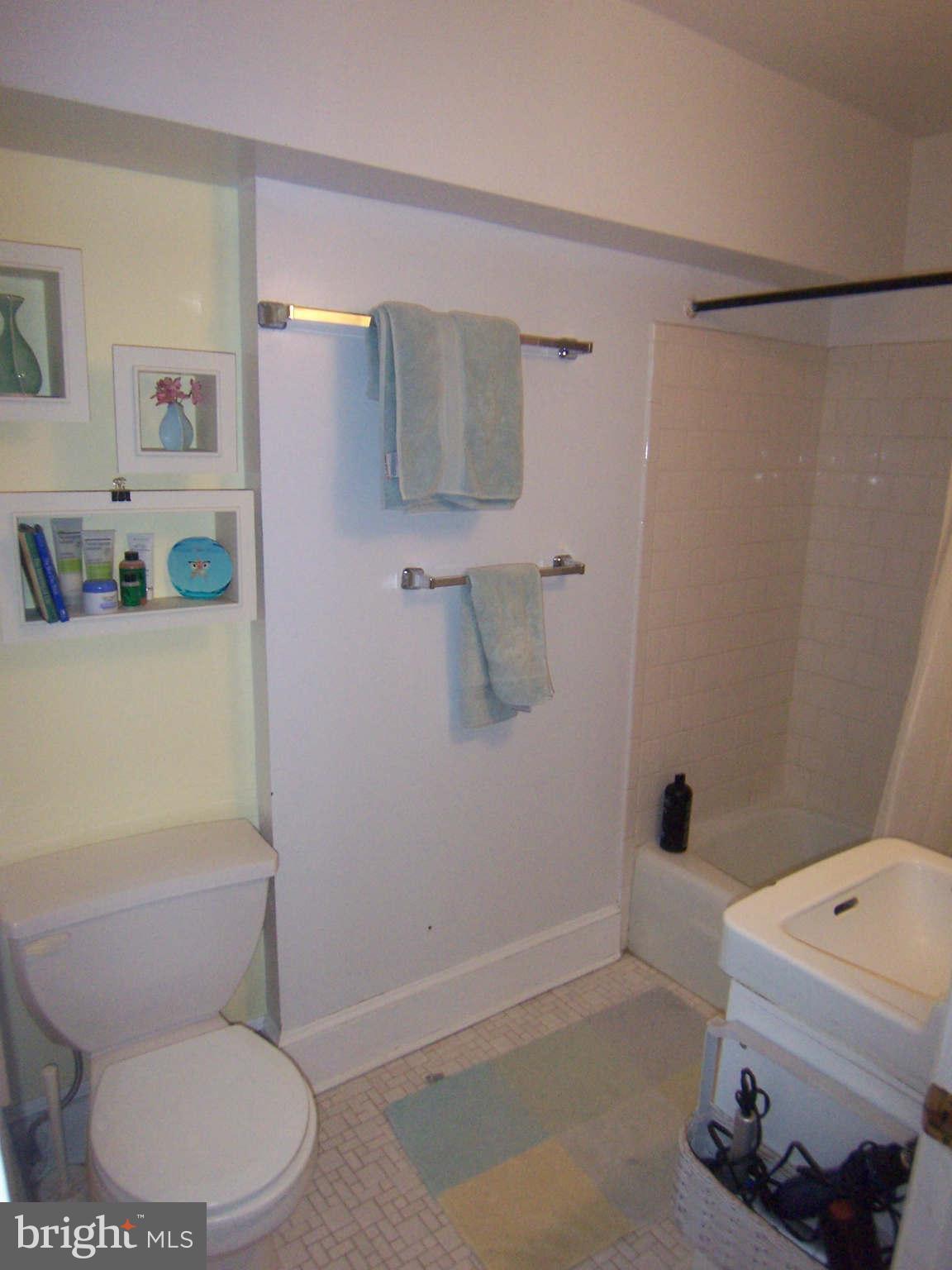 109 5th Street Southeast Washington, DC 20003 - Photo 20 of 23 Bath
