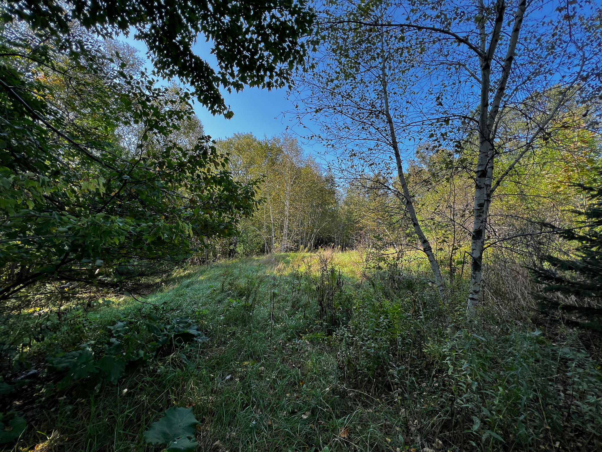 170 Kingman Road Kingman, ME 04451 - Photo 12 of 21 IMG_1114