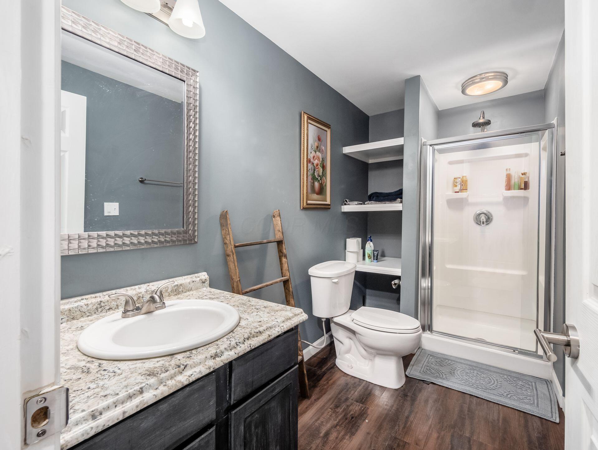 5860 Sandy Rings Lane Dublin, OH 43016 - Photo 58 of 70 LL Full Bath 1