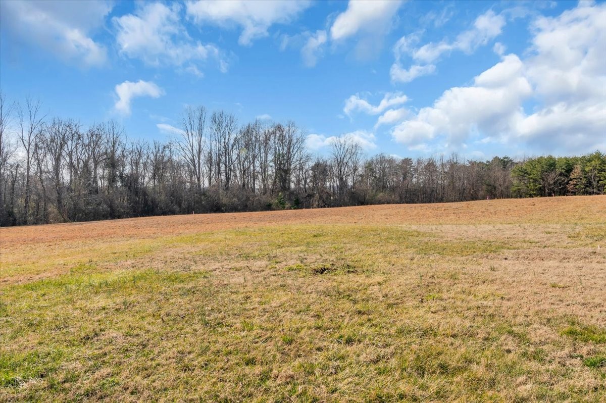 1867 Shellsford Road McMinnville, TN 37110 - Photo 20 of 23