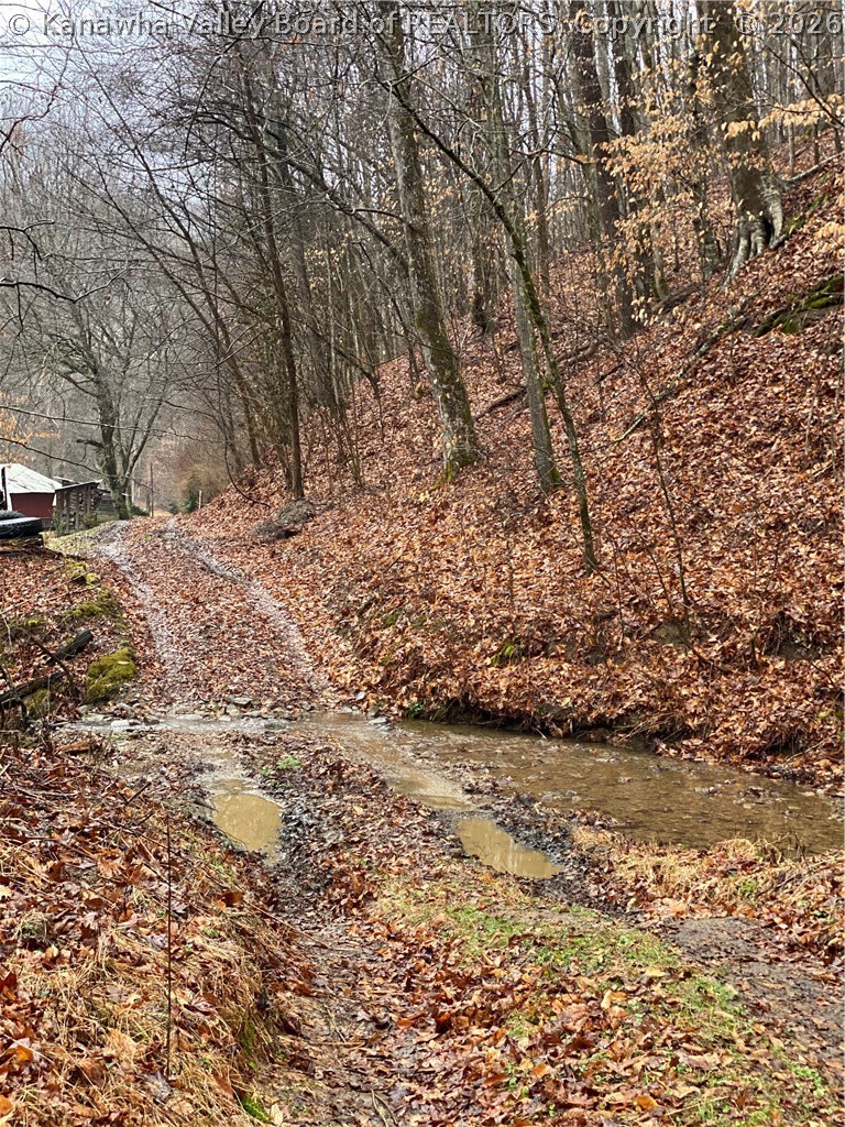 Tbd Covert Branch Road Chapmanville, WV 25508 - Photo 12 of 16 Gallery Image 12