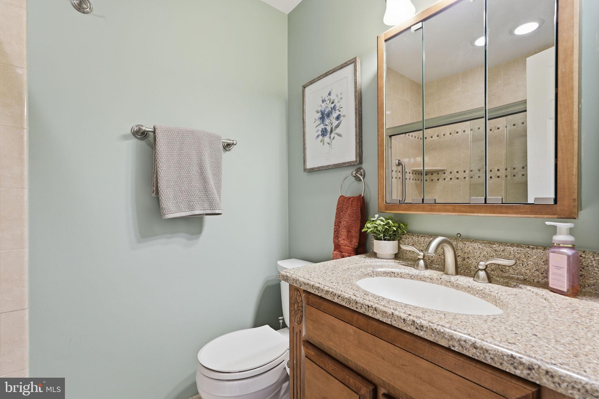 2423 Rocky Branch Road Vienna, VA 22181 - Photo 23 of 46 Hall Bath