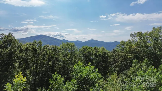 an aerial view of mountain with trees in the background