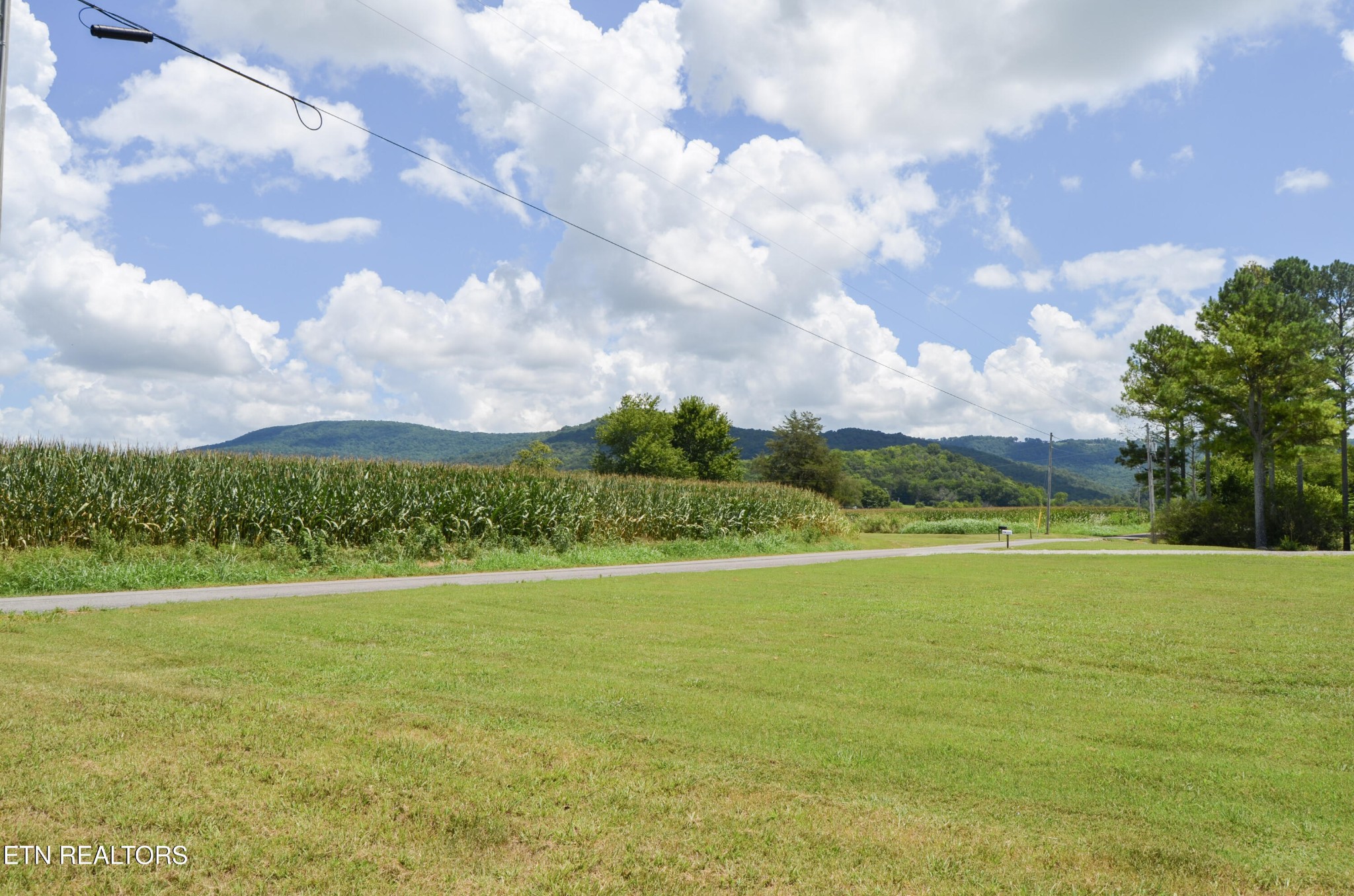 241 Terry Road Pikeville, TN 37367 - Photo 5 of 47