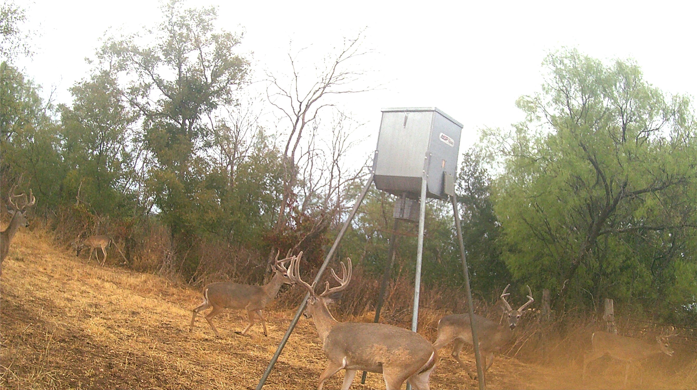 580 Rd Lampasas Tx 76550 Road Lometa, TX 76853 - Photo 2 of 5
