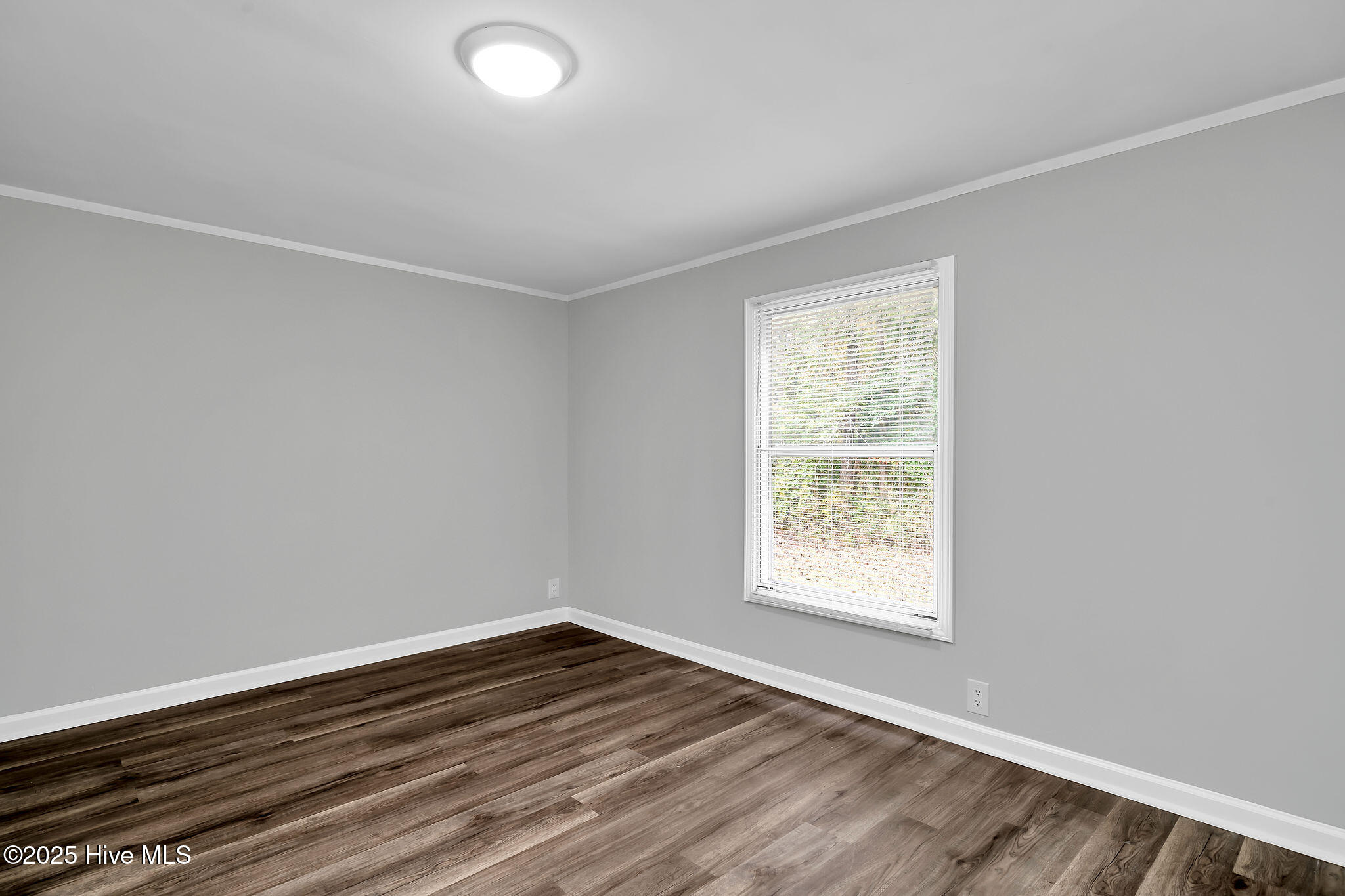 958 Walter Holmes Road Maple Hill, NC 28454 - Photo 20 of 27 958walterholmes-20