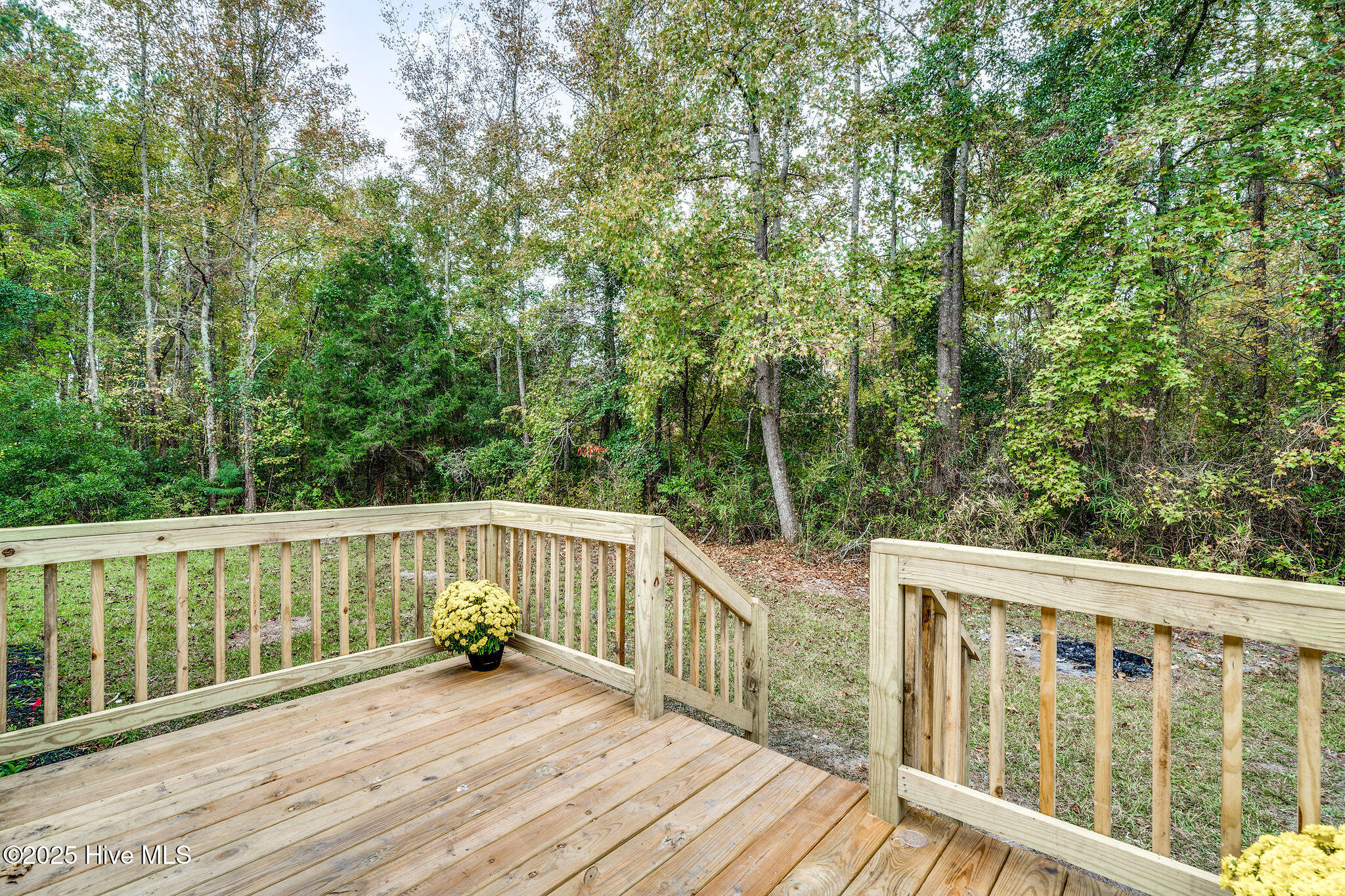 958 Walter Holmes Road Maple Hill, NC 28454 - Photo 21 of 27 958walterholmes-21